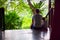 Father and son sitting on tree house stairs in tropical forest