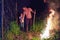 Father and son, villagers burning brushwood on fire at night, seasonal cleaning of the countryside area, village lifestyle