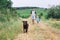 Father and son walking with dog on nature, outdoors.