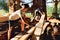 Father and son working together in a sawmill