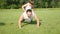 Father with son wrung out off the ground in the forest. Boys is trained to become stronger. Sports in nature. Morning