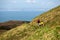 Father and sons, hiking in a beautiful nature of North Devon on a sunny day