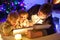 Father and two little toddler boys reading book by chimney, candles and fireplace.