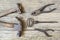 Fathers day concept, group of old rustic repair man tools