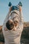 Fathers day, Happy loving family. Father and son playing, having fun on the nature. Happy family, Fathers Day and local summer