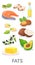 Fats healthy macronutrients chart. Cartoon food icon