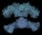 Fatty acid synthase (FAS) enzyme. Responsible for the synthesis of fatty acids