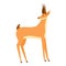 Faune gazelle icon, cartoon style