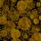 Faux Gold Foil Glitter Polka Dots Black Background