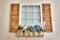 Faux interior window with wooden shutters and flowers in ornamental flowerpot