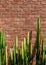 Faux pillar cactus with sharp spike and old red brick wall vertical image