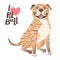 Fawn brindle brown American Staffordshire Pit Bull Terrier. I love pitbull. Vector illustration