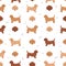 Fawn brittany basset seamless pattern. Different coat colors and poses set