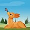 Fawn plays with the butterfly