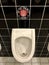 FC St. Pauli logo in a stadium restroom