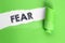 Fear word