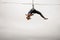 Fearless blonde girl balancing on a slackline against the grey sky