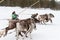 Feast of reindeer herders and fishermans. A tense moment races on sledge with deer. Traditional sleigh race with deer