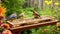 Feasting Birds at the Platform Tray Feeder