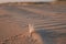 Feather Beach coast sand Baltic sea