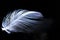 Feather, bird feather, artificial feather