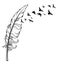 Feather and birds. Black and white vector illustration of stylized feather with silhouettes of flocks of birds. Tattoo.