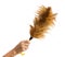 Feather broom in hand,clipping path
