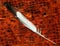 Feather on a burnt orange lava background