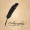 Feather calligraphic pen on old paper vintage vector design