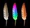 Feather (clipping path)