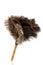 Feather duster against white background