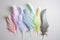 Feather dusters in pastel colors on a light gray background
