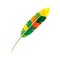 Feather exotic colors icon