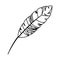 Feather exotic isolated icon