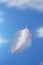 Feather Falling Against Sky