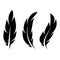 feather icon Vector Illustration design Logo