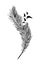 Feather Illustration, Feather and Flying Bird Birds, Wall Design, Wall Decals