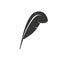 Feather isolated icon. Authorship concept.
