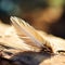 A feather laying on a wooden surface, AI