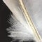 Feather macro