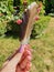 Feather One Found in Garden Rose Feathers Angel Sign Pink Nails