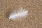 Feather over sand