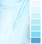 Feather plumage blue color chart