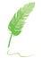 Feather quill