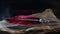 a feather quill resting on a rock with a black background