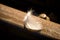 Feather on a railway track