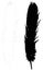 Feather silhouette - epidermal growths that form the distinctive outer covering, or plumage, on birds