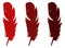 Feather silhouette - epidermal growths that form the distinctive outer covering, or plumage, on birds