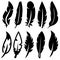 Feather vector icons Set. feather icon illustration.