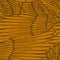 Feather wings seamless pattern in gold brown color